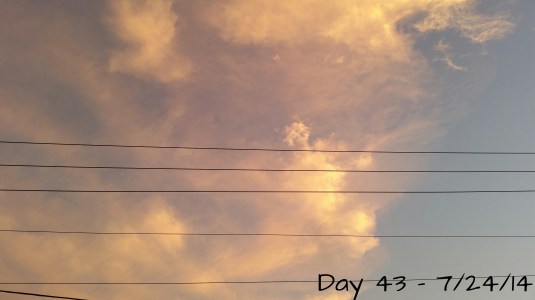 Day 43
