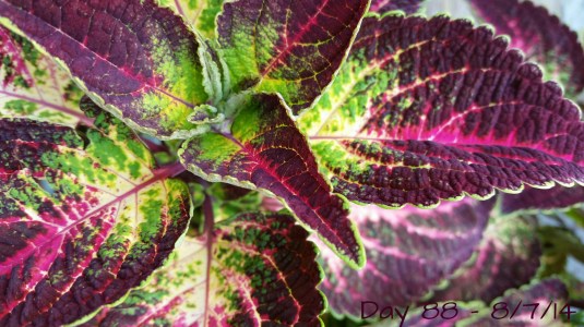 20140907_150639.jpg image