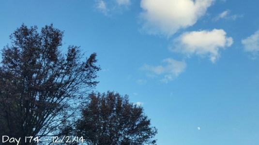 20141202_164848.jpg image