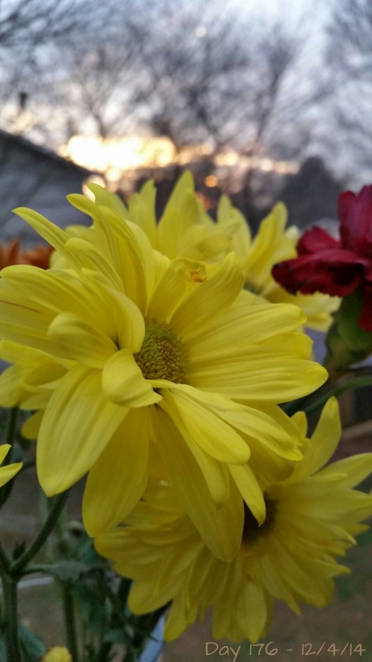 20141204_172042_20141204233952828.jpg image