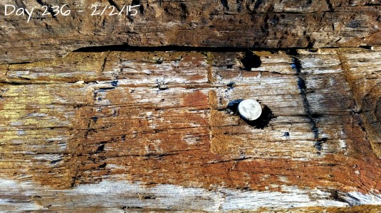 20150202_163325.jpg image