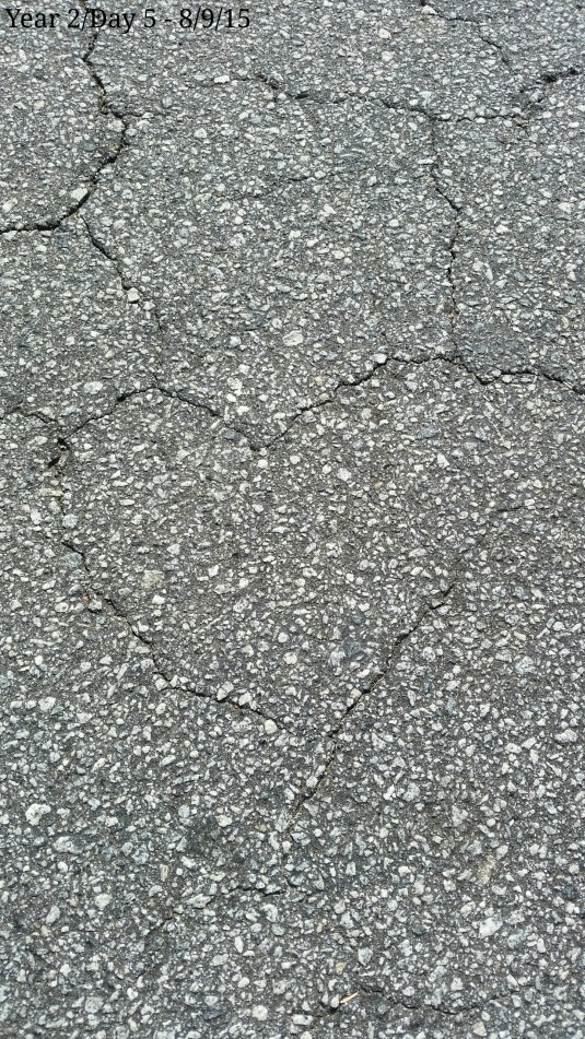 20150809_163157.jpg image