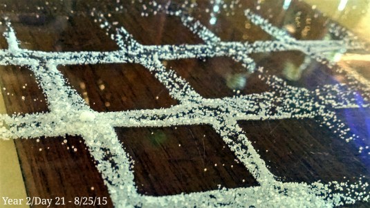 20150825_101921.jpg image