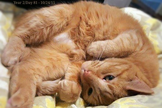 received_10208053125035052.jpg image