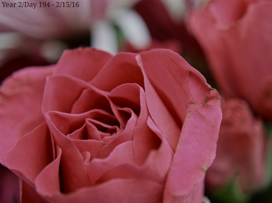 Year 2 - Day 194